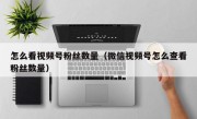 怎么看视频号粉丝数量（微信视频号怎么查看粉丝数量）