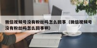 微信视频号没有粉丝吗怎么回事（微信视频号没有粉丝吗怎么回事啊）