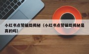 小红书点赞骗局揭秘（小红书点赞骗局揭秘是真的吗）