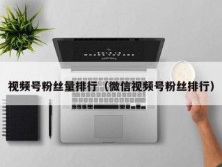 视频号粉丝量排行（微信视频号粉丝排行）
