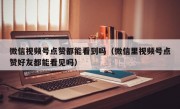 微信视频号点赞都能看到吗（微信里视频号点赞好友都能看见吗）