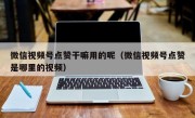 微信视频号点赞干嘛用的呢（微信视频号点赞是哪里的视频）