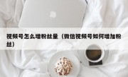 视频号怎么增粉丝量（微信视频号如何增加粉丝）