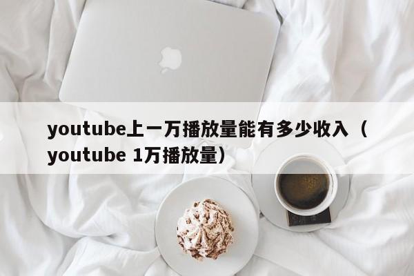 youtube上一万播放量能有多少收入（youtube 1万播放量） 第1张