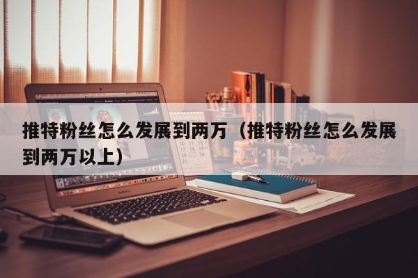 推特粉丝怎么发展到两万（推特粉丝怎么发展到两万以上） 第1张