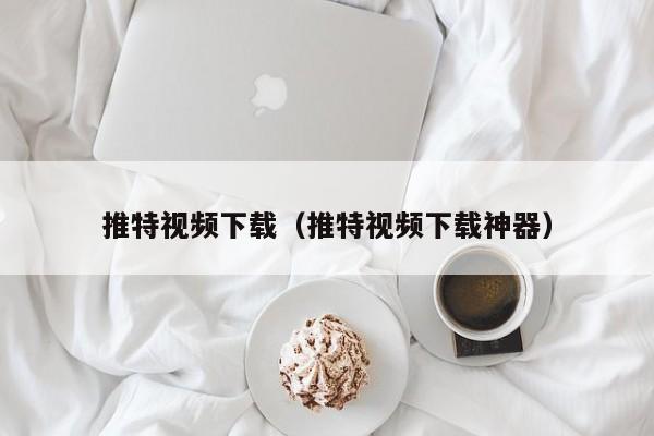 推特视频下载（推特视频下载神器） 第1张