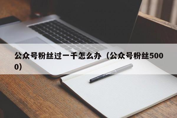 公众号粉丝过一千怎么办（公众号粉丝5000） 第1张