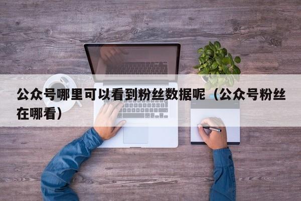 公众号哪里可以看到粉丝数据呢（公众号粉丝在哪看） 第1张