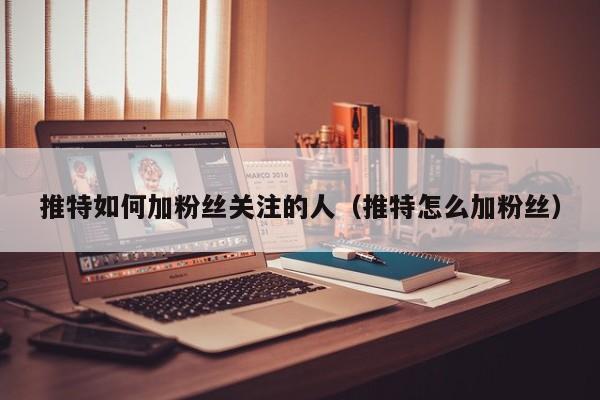 推特如何加粉丝关注的人（推特怎么加粉丝） 第1张