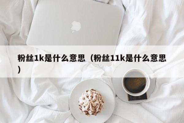 粉丝1k是什么意思（粉丝11k是什么意思） 第1张