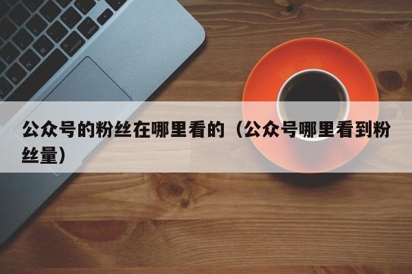 公众号的粉丝在哪里看的（公众号哪里看到粉丝量） 第1张