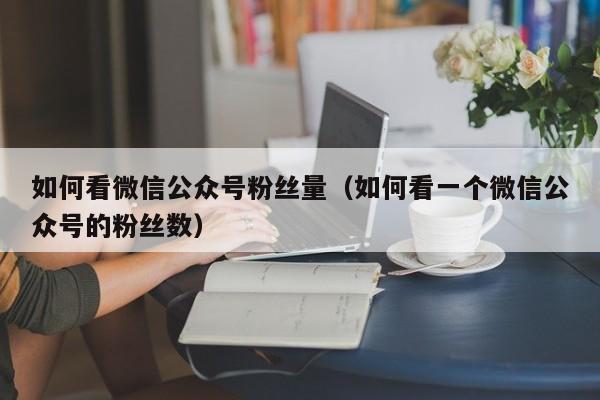 如何看微信公众号粉丝量（如何看一个微信公众号的粉丝数） 第1张