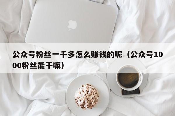 公众号粉丝一千多怎么赚钱的呢（公众号1000粉丝能干嘛） 第1张