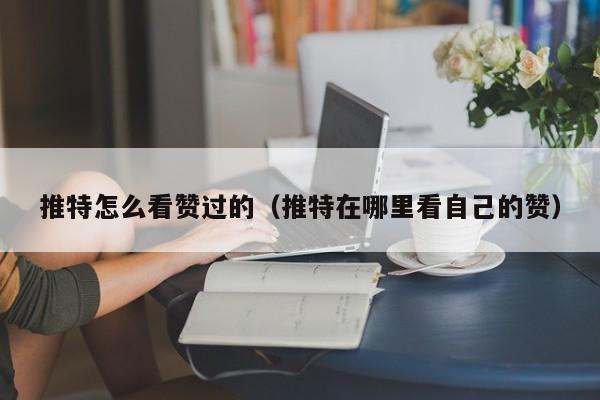 推特怎么看赞过的（推特在哪里看自己的赞） 第1张