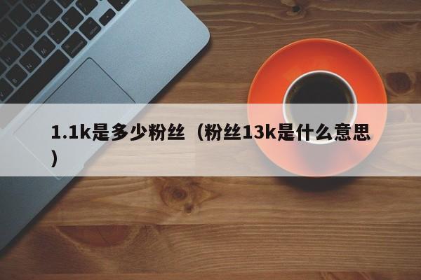 1.1k是多少粉丝（粉丝13k是什么意思） 第1张