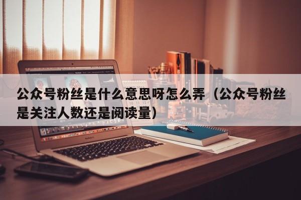 公众号粉丝是什么意思呀怎么弄（公众号粉丝是关注人数还是阅读量） 第1张