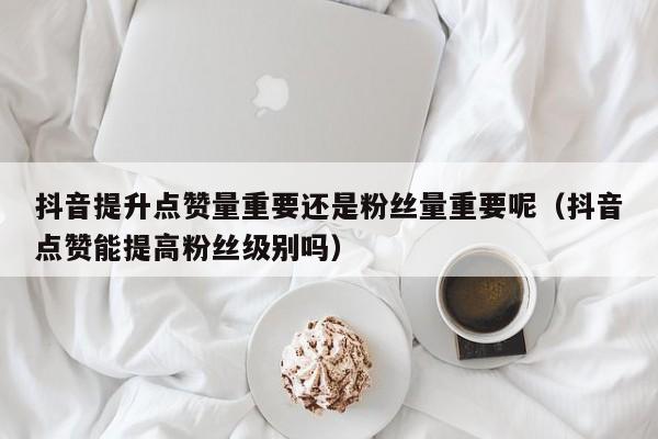 抖音提升点赞量重要还是粉丝量重要呢（抖音点赞能提高粉丝级别吗） 第1张