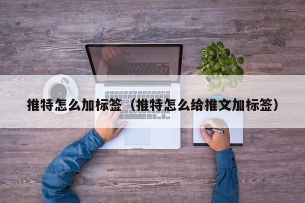 推特怎么加标签（推特怎么给推文加标签） 第1张