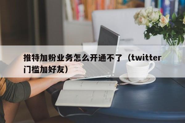 推特加粉业务怎么开通不了（twitter门槛加好友） 第1张