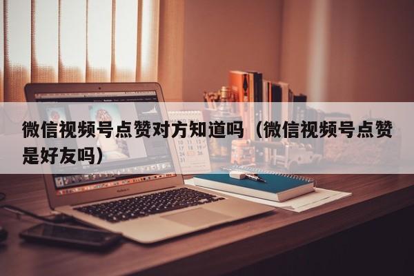 微信视频号点赞对方知道吗（微信视频号点赞是好友吗） 第1张