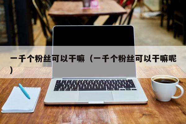 一千个粉丝可以干嘛（一千个粉丝可以干嘛呢） 第1张