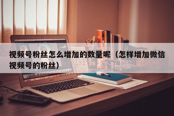 视频号粉丝怎么增加的数量呢（怎样增加微信视频号的粉丝） 第1张