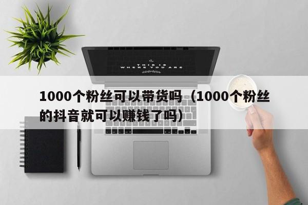 1000个粉丝可以带货吗（1000个粉丝的抖音就可以赚钱了吗） 第1张