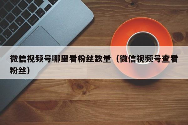 微信视频号哪里看粉丝数量（微信视频号查看粉丝） 第1张
