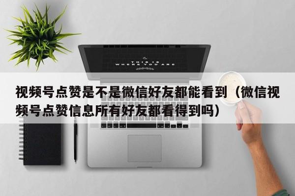 视频号点赞是不是微信好友都能看到（微信视频号点赞信息所有好友都看得到吗） 第1张