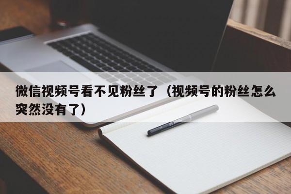 微信视频号看不见粉丝了（视频号的粉丝怎么突然没有了） 第1张