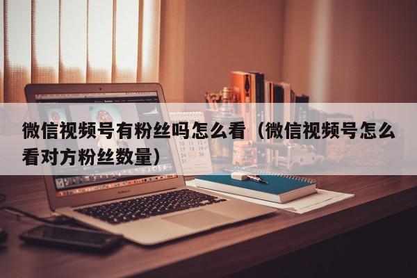 微信视频号有粉丝吗怎么看（微信视频号怎么看对方粉丝数量） 第1张