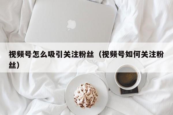 视频号怎么吸引关注粉丝（视频号如何关注粉丝） 第1张