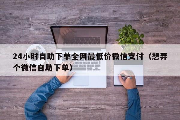 24小时自助下单全网最低价微信支付（想弄个微信自助下单） 第1张