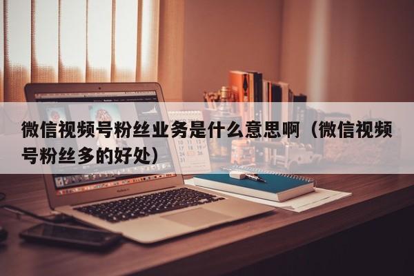 微信视频号粉丝业务是什么意思啊（微信视频号粉丝多的好处） 第1张