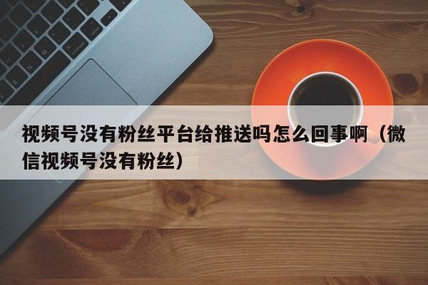 视频号没有粉丝平台给推送吗怎么回事啊（微信视频号没有粉丝） 第1张
