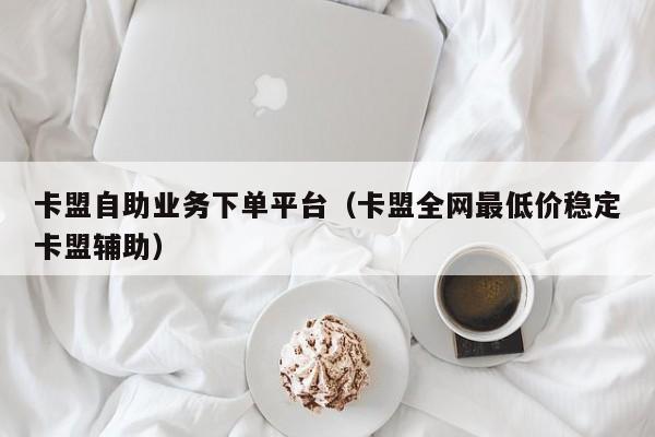 卡盟自助业务下单平台（卡盟全网最低价稳定卡盟辅助） 第1张