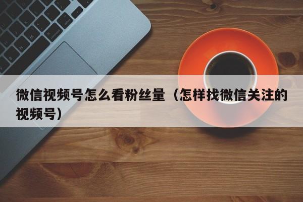 微信视频号怎么看粉丝量（怎样找微信关注的视频号） 第1张