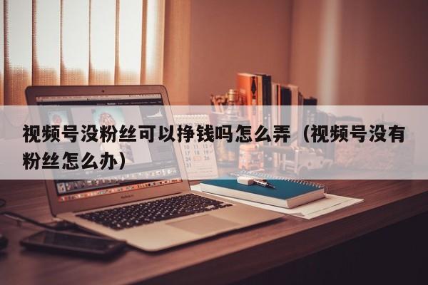 视频号没粉丝可以挣钱吗怎么弄（视频号没有粉丝怎么办） 第1张