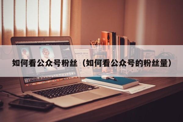 如何看公众号粉丝（如何看公众号的粉丝量） 第1张