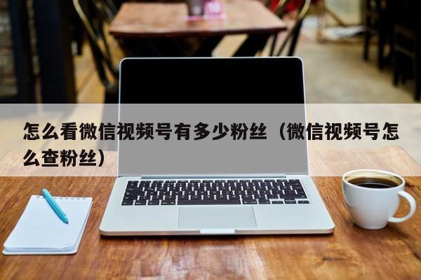怎么看微信视频号有多少粉丝（微信视频号怎么查粉丝） 第1张
