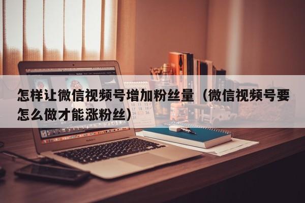 怎样让微信视频号增加粉丝量（微信视频号要怎么做才能涨粉丝） 第1张