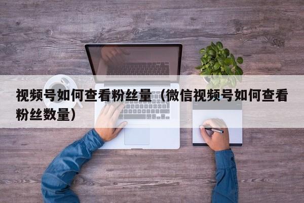 视频号如何查看粉丝量（微信视频号如何查看粉丝数量） 第1张