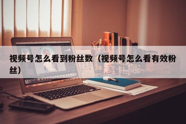 视频号怎么看到粉丝数（视频号怎么看有效粉丝） 第1张