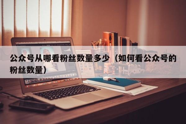 公众号从哪看粉丝数量多少（如何看公众号的粉丝数量） 第1张