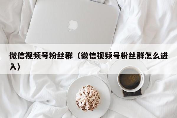 微信视频号粉丝群（微信视频号粉丝群怎么进入） 第1张