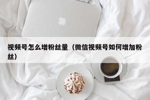 视频号怎么增粉丝量（微信视频号如何增加粉丝） 第1张