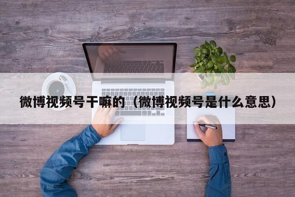 微博视频号干嘛的（微博视频号是什么意思） 第1张