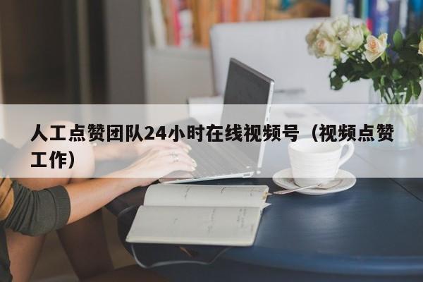 人工点赞团队24小时在线视频号（视频点赞工作） 第1张