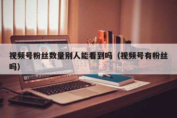 视频号粉丝数量别人能看到吗（视频号有粉丝吗） 第1张