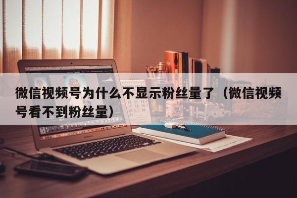 微信视频号为什么不显示粉丝量了（微信视频号看不到粉丝量） 第1张